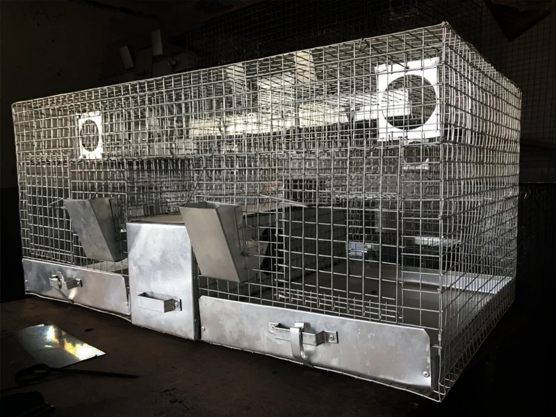 Cage