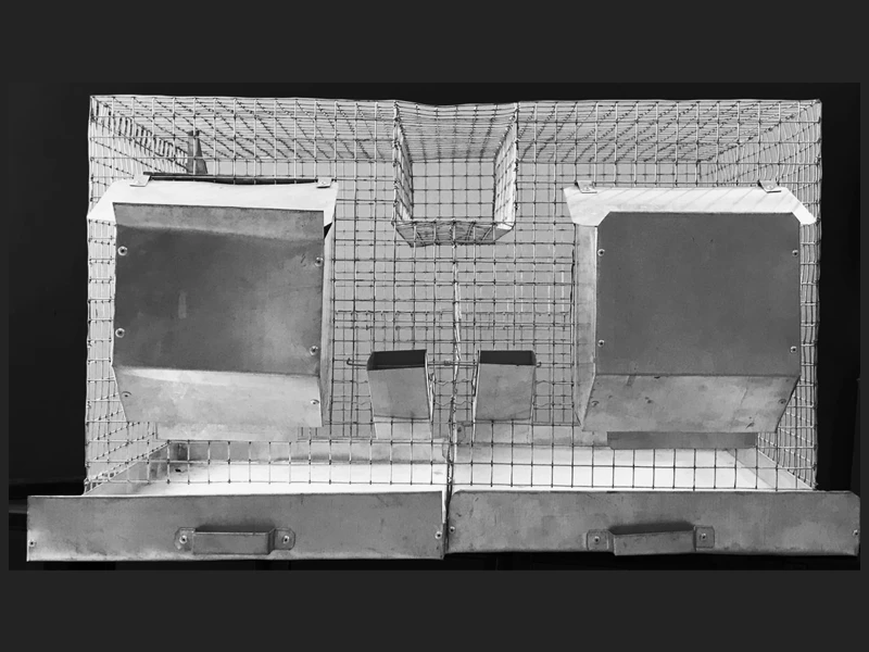 Cage 2